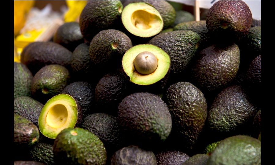 Plaguacat Aguacates