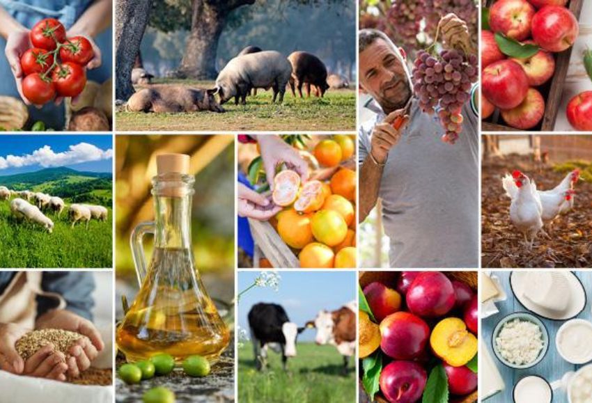 mercado agroalimentario_UE