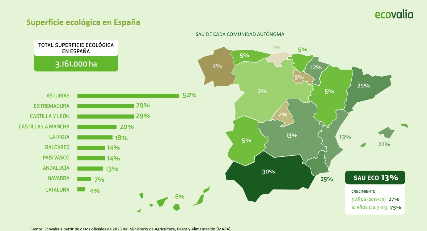 superficie eco