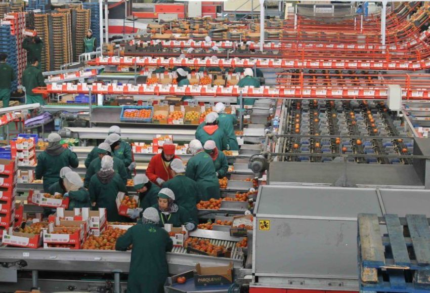 Almacén agrícola