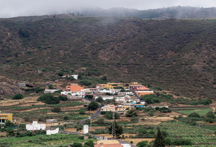 Emprendimiento rural (2)