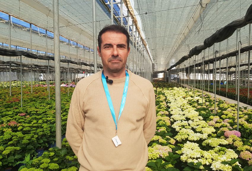 Francisco Maldonado_Figueplant