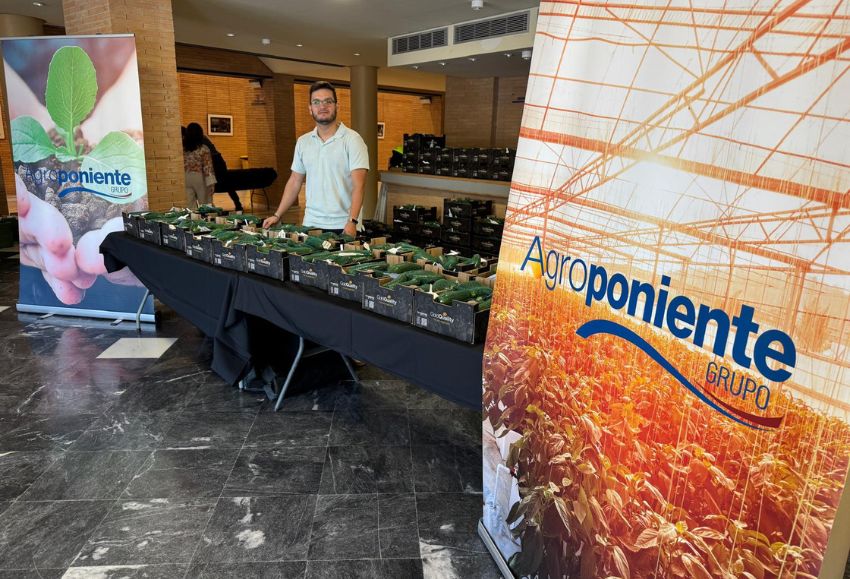 Grupo Agroponiente_Ayto Almería (1)