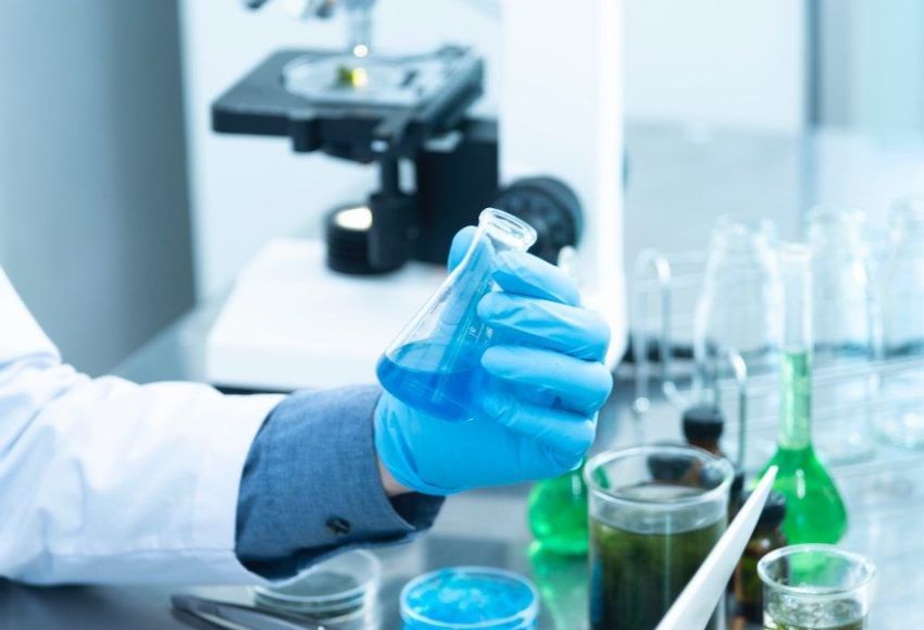 Investigación