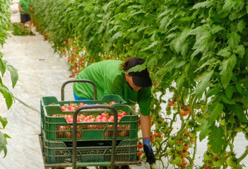 Mujer agricultora