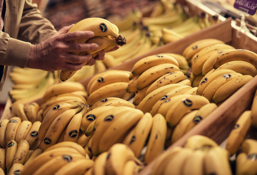 Plátano de Canarias