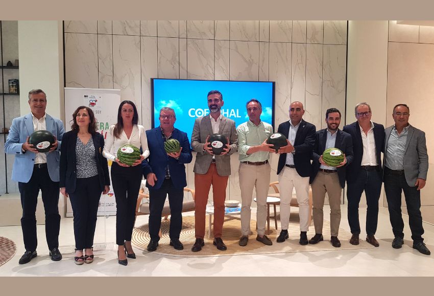 Presentación Sandía (1)