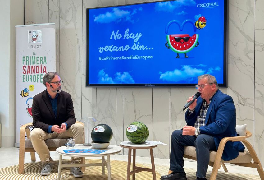 Presentación Sandía (3)
