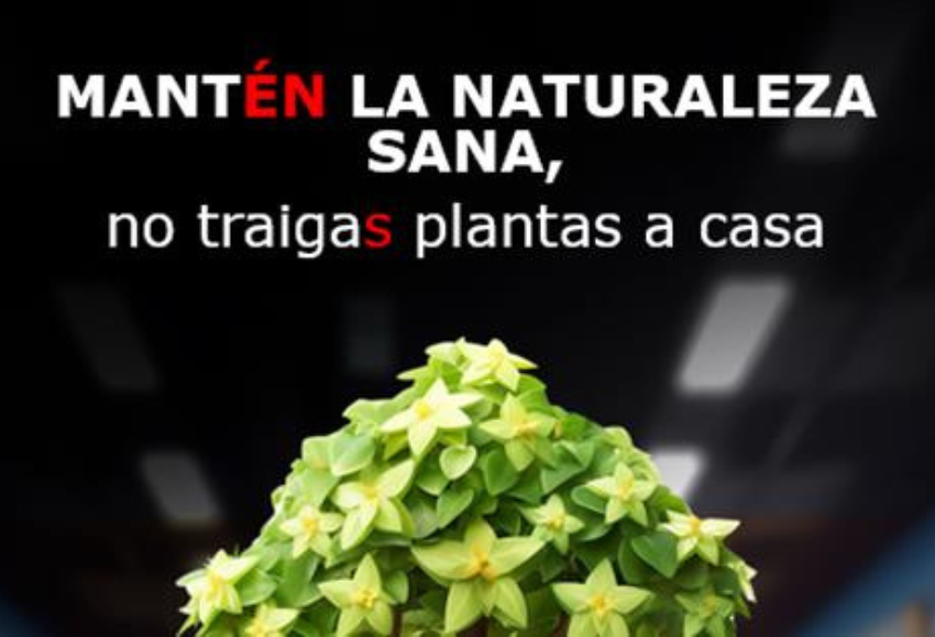 Sanidad vegetal_MAPA