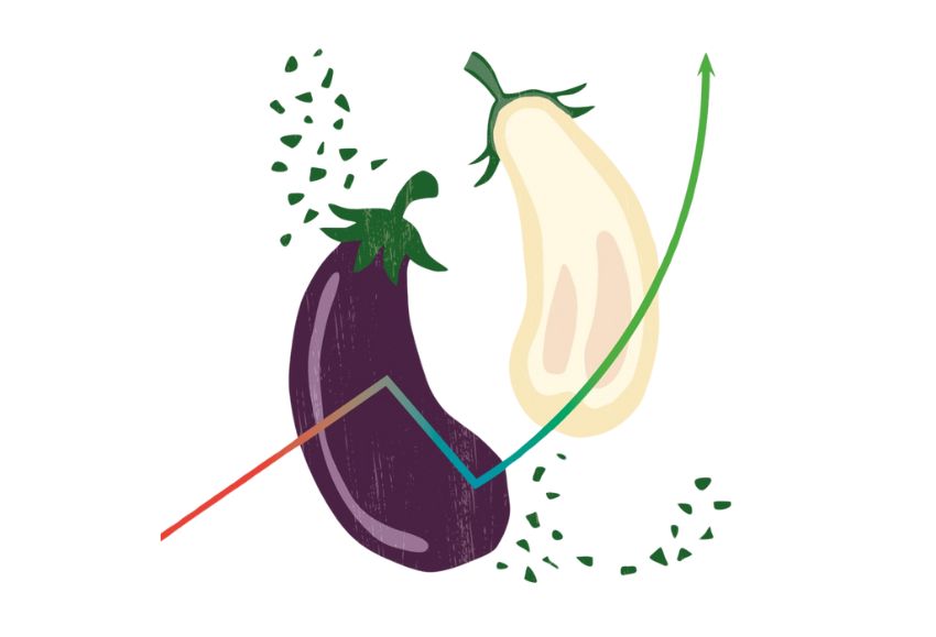 berenjena