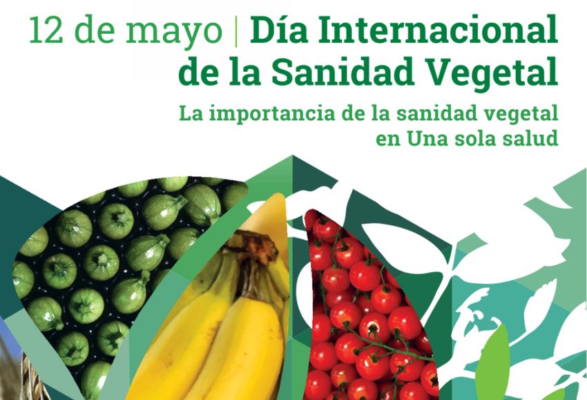 dia sanidad vegetal