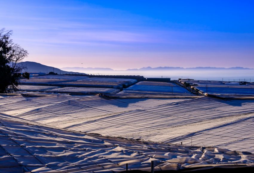 invernaderos