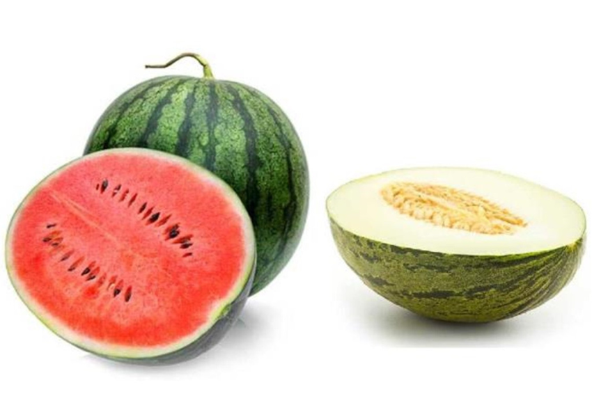 Melon y sandia
