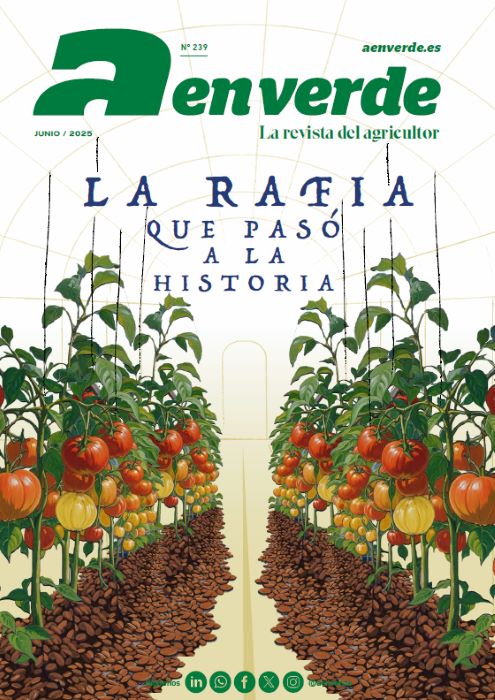 PORTADA 239