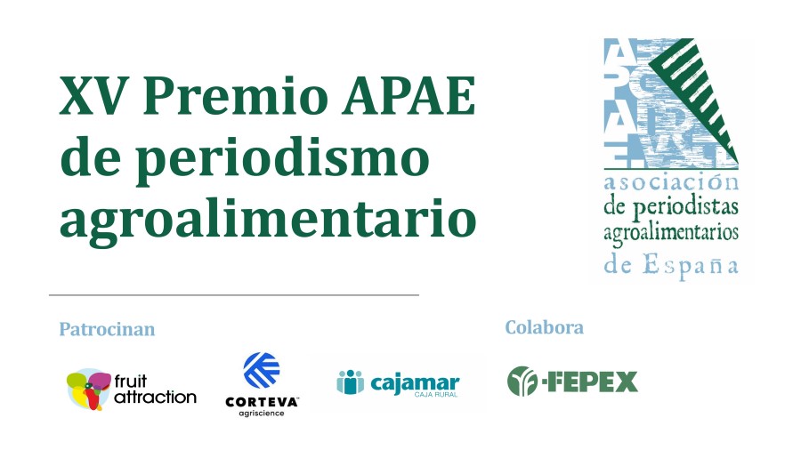 XV Premios periodísticos APAE