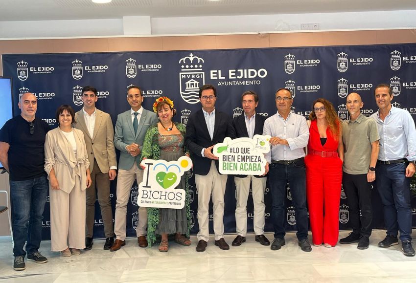 jornada ibma