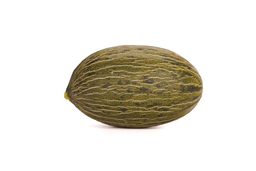 melon rZ