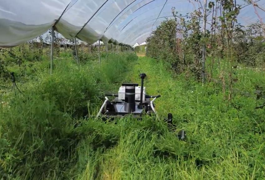 robot cubierta vegetal