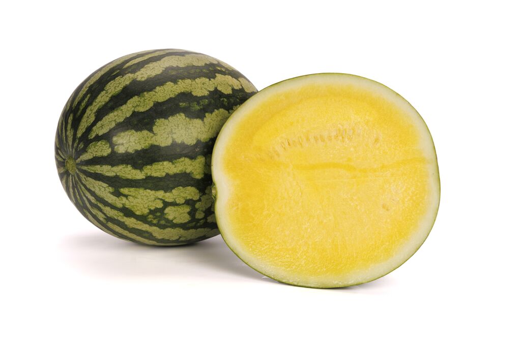 sandías y melones Syngenta