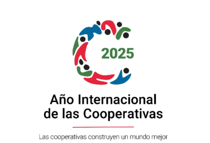 Año internacional de las cooperativas