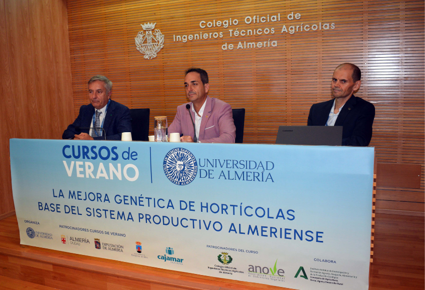 Curso de verano UAL