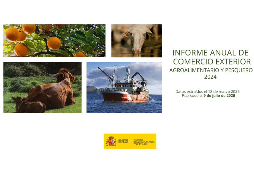 Informe MAPA