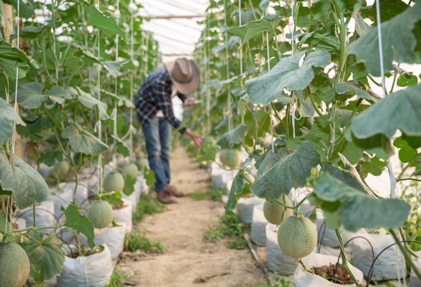 Joven agricultor
