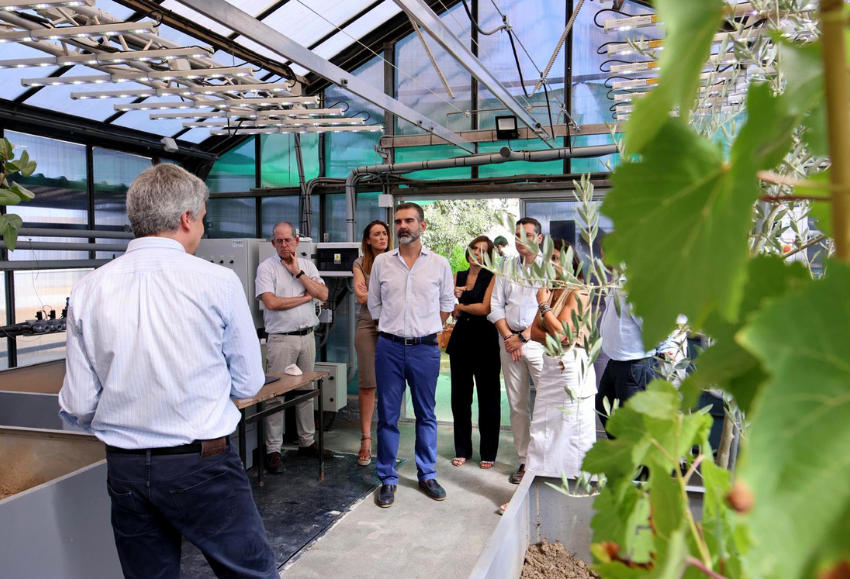 Laboratorio-Ifapa Córdoba