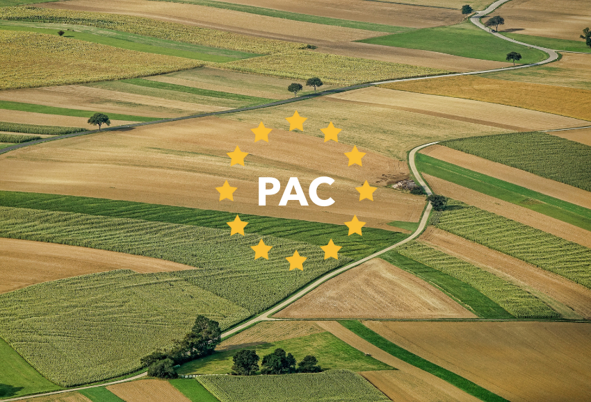 PAC
