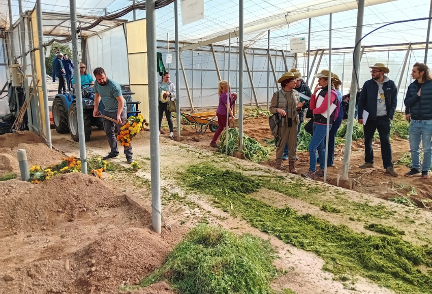 Proyecto Recicland (1)