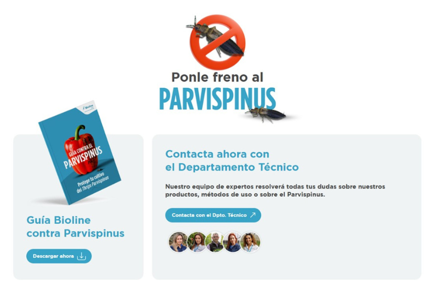 Web Bioline-thrips parvispinus (3)