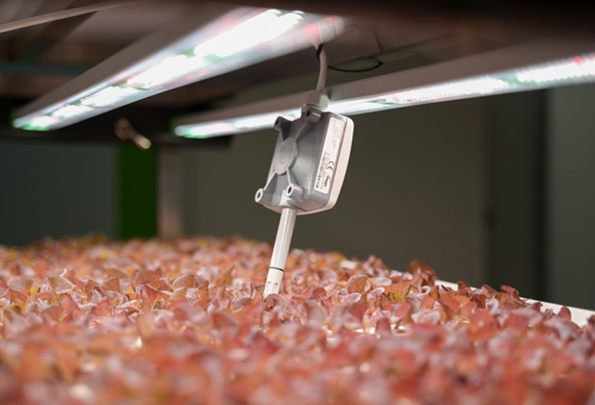 Food4Future 2025 (2)