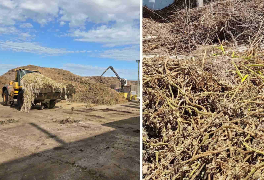 Go Lixagro_Proceso compostaje