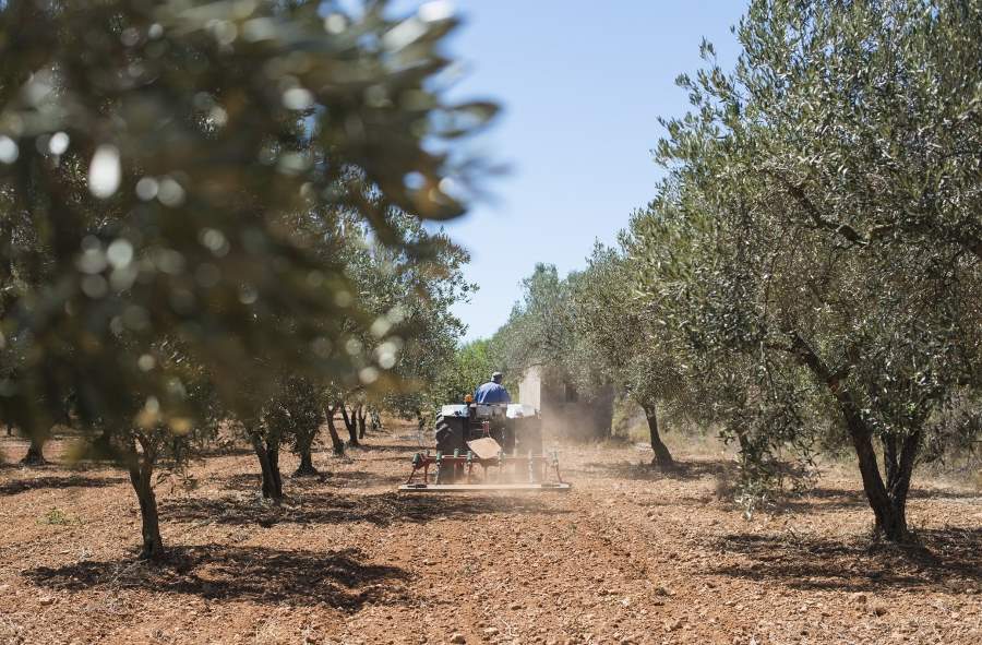 ayudas agricultores