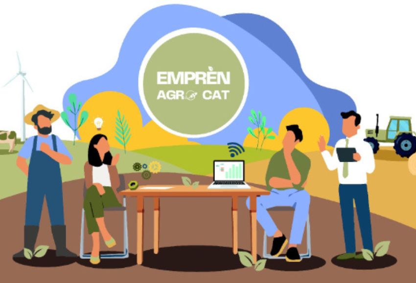 empren cat