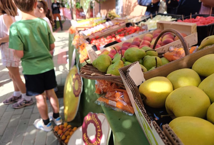 reparto de fruta Murcia
