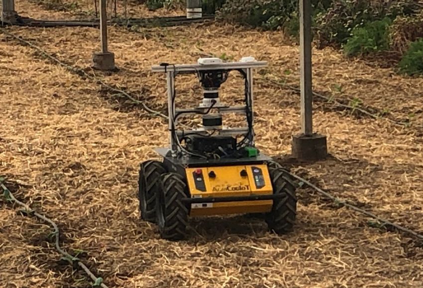 robot