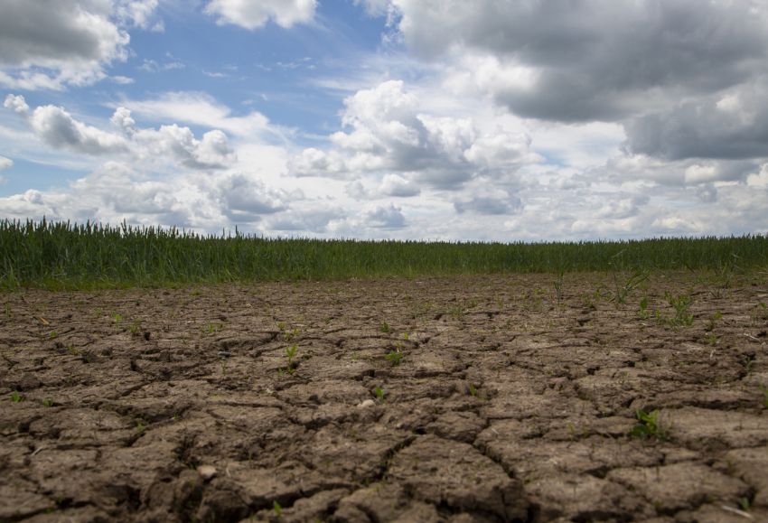 tierra seca