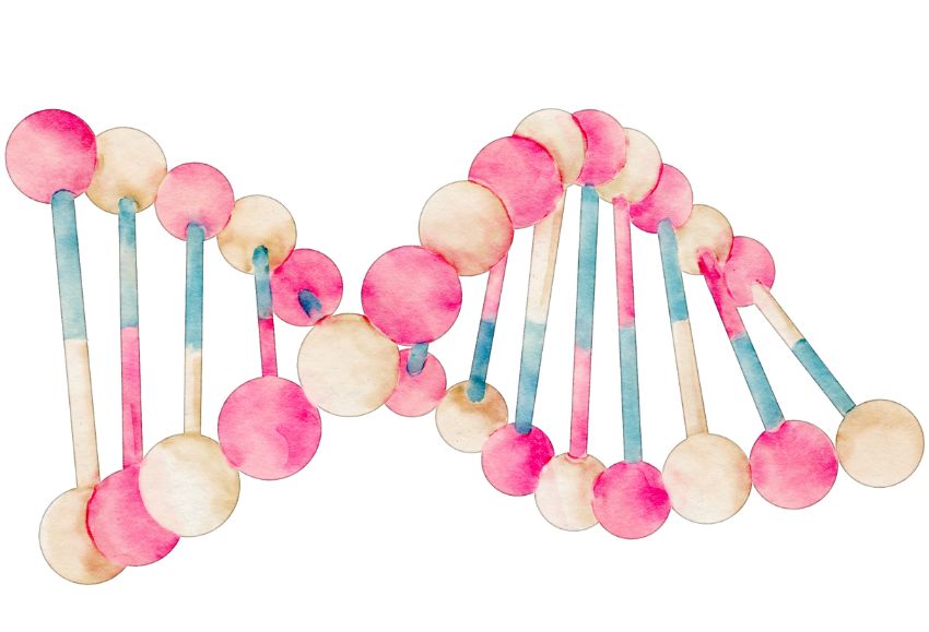 tomate crispr