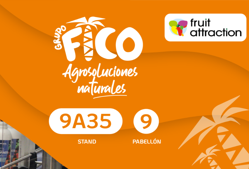 Grupo FICO