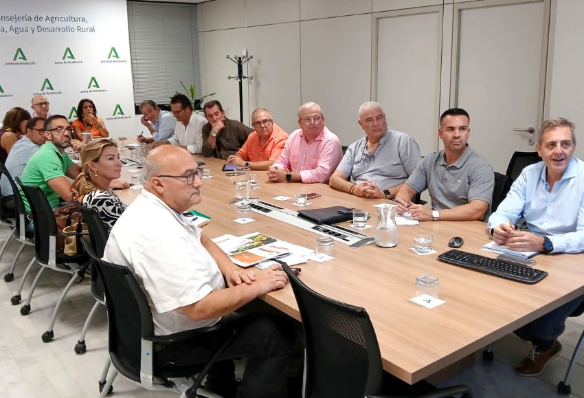 aforo cítricos andalucía