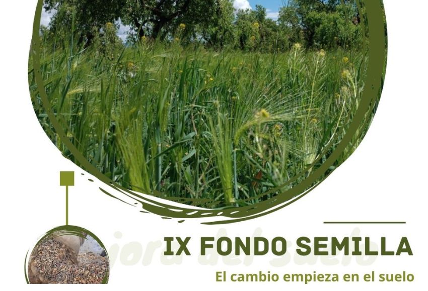 fondo semilla