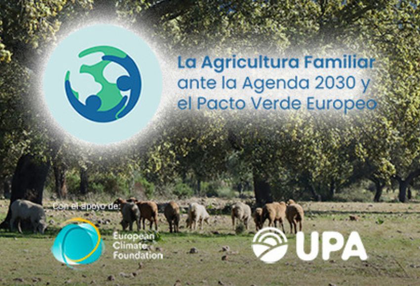 informe upa