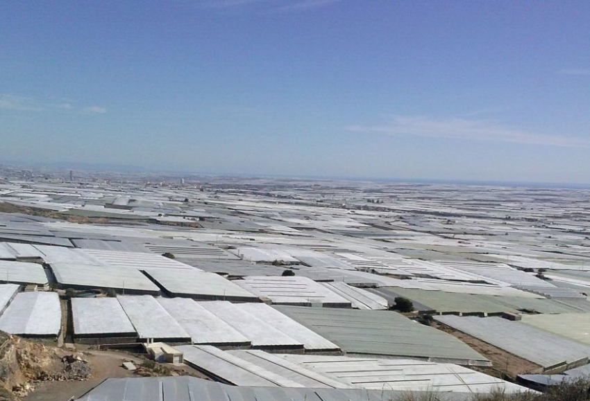 invernaderos-almeria