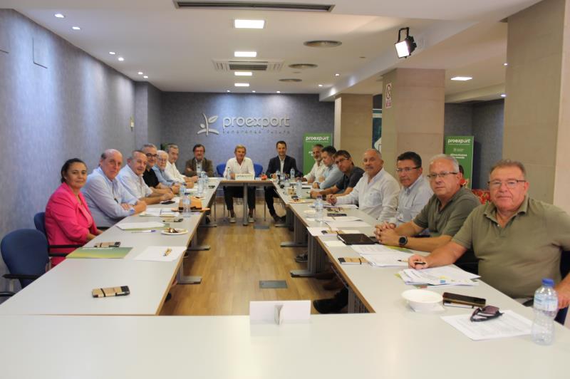 proexport comision