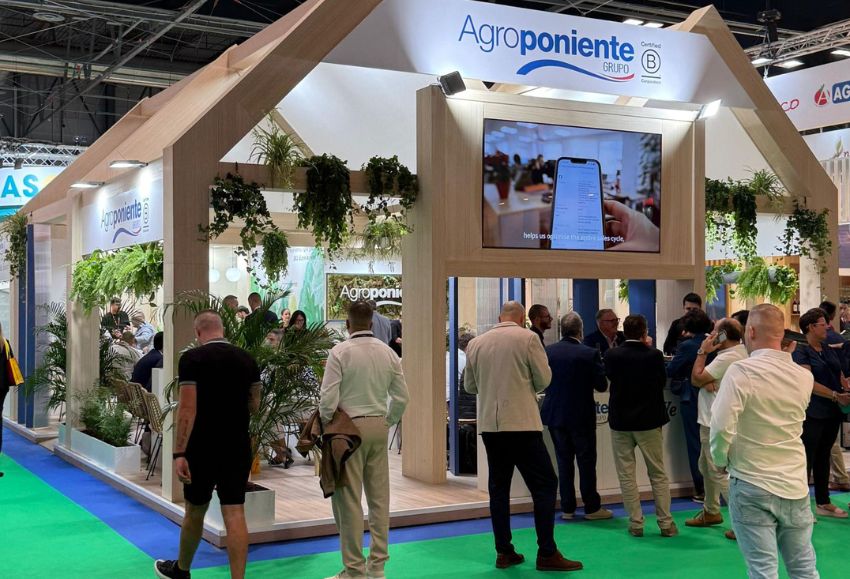 agroponiente fruit