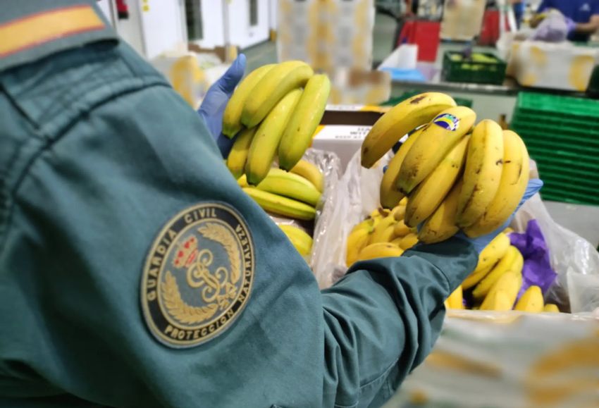 bananas por plátanos