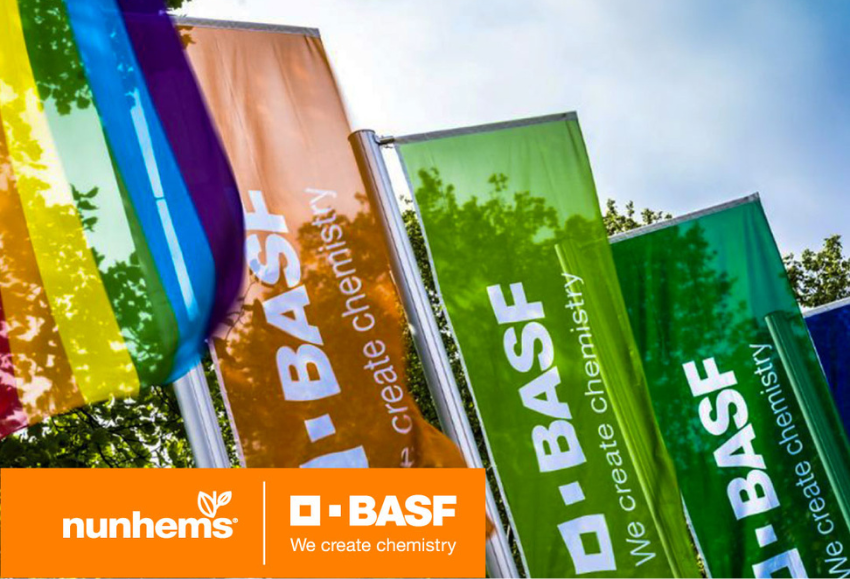 basf-nunhems