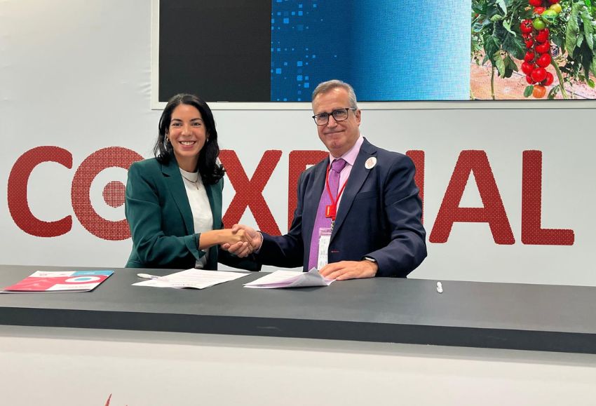 bayer coexphal