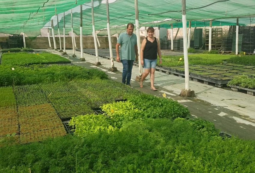 control plant